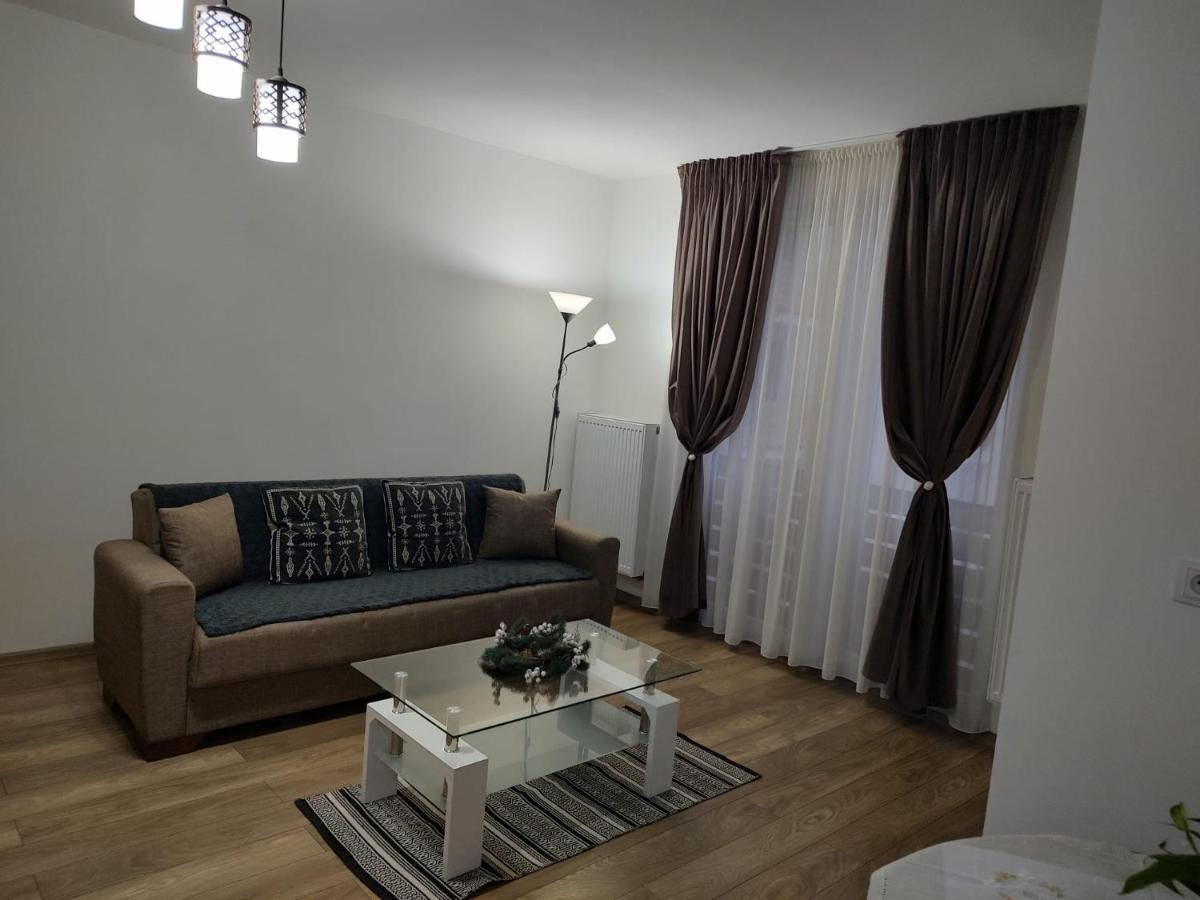 Târgu-MureşCasa Ioana公寓 外观 照片